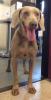 Red Bluff Girl 2 (Medium)